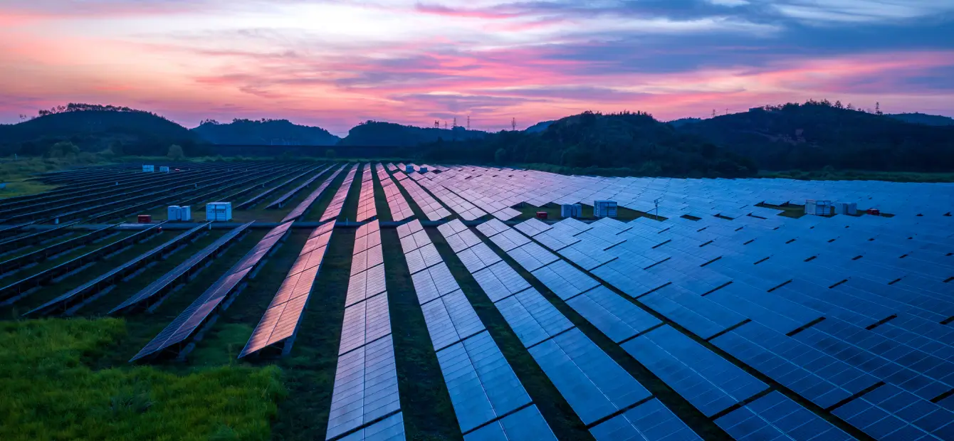 Solar panels in a field with a purplish red sunset in the backdrop